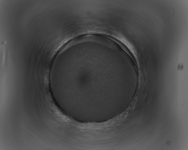 X0000091700009200708241233