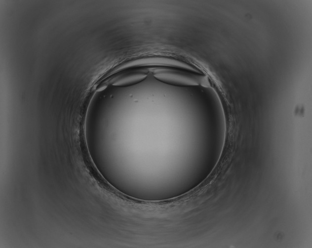 X0000091700010200708241233