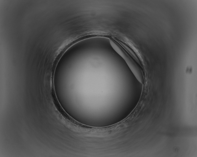 X0000091700011200708241233