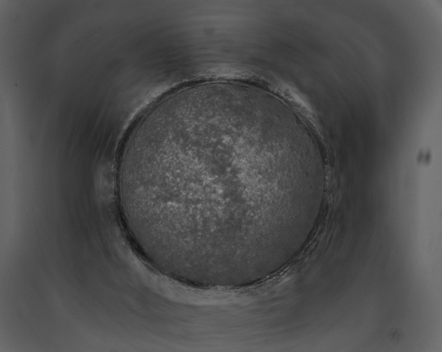 X0000091700012200708241233