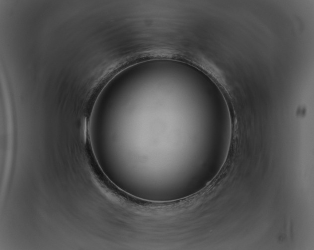 X0000091700013200708241233