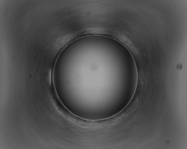 X0000091700014200708241233