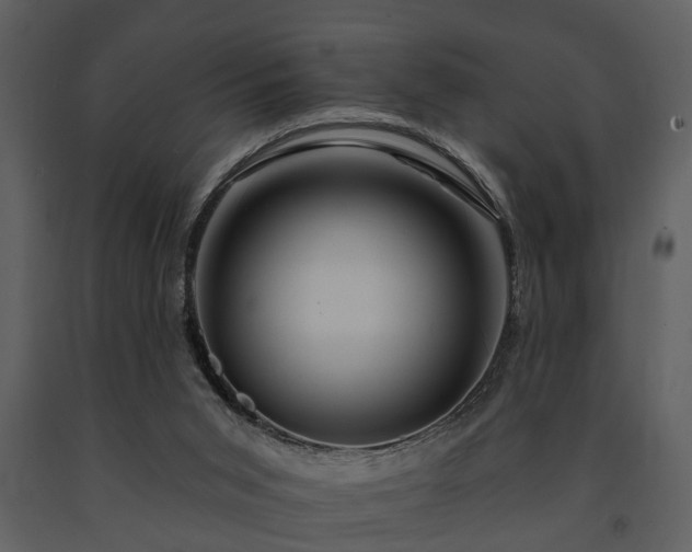 X0000091700015200708241233