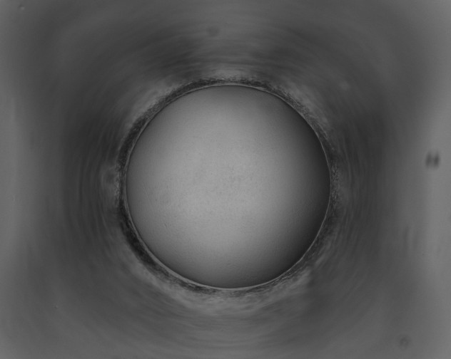 X0000091700016200708241233