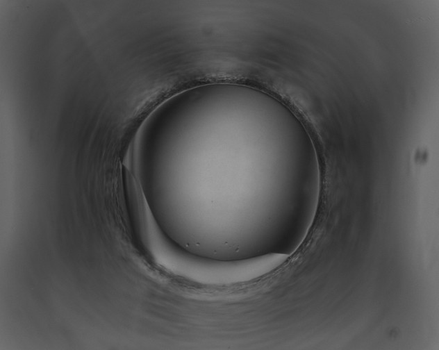 X0000091700017200708241233