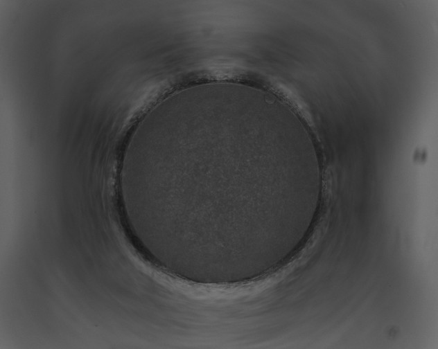 X0000091700018200708241233