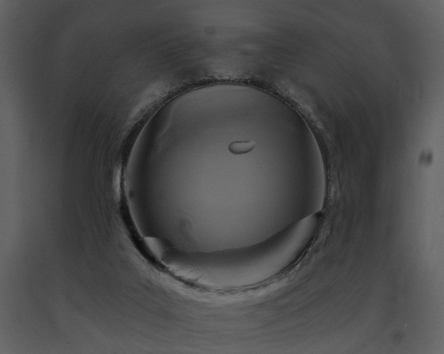 X0000091700019200708241233