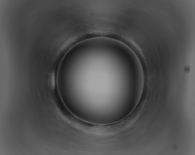 X0000091700020200708241233