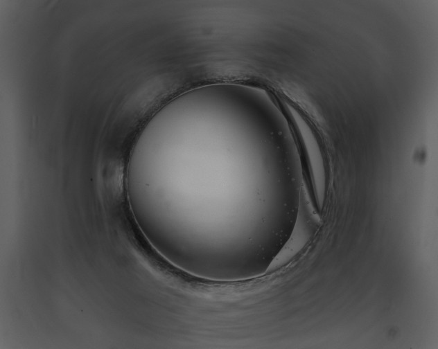 X0000091700021200708241233