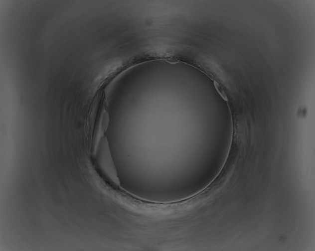 X0000091700023200708241233