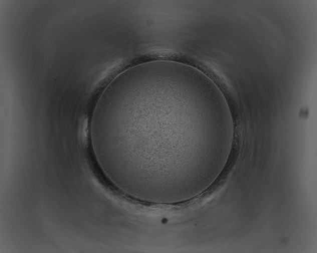 X0000091700024200708241233