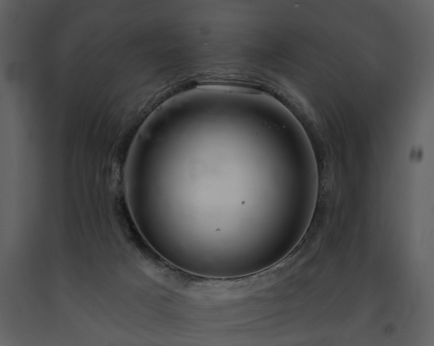 X0000091700025200708241233
