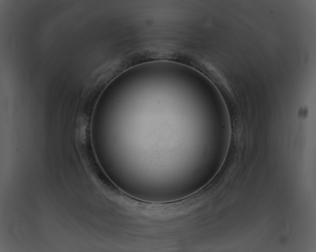 X0000091700026200708241233
