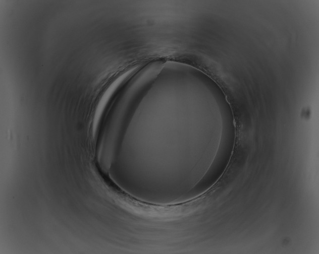 X0000091700027200708241233