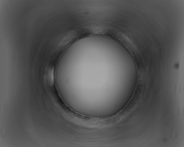 X0000091700028200708241233