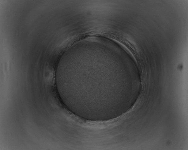 X0000091700029200708241233