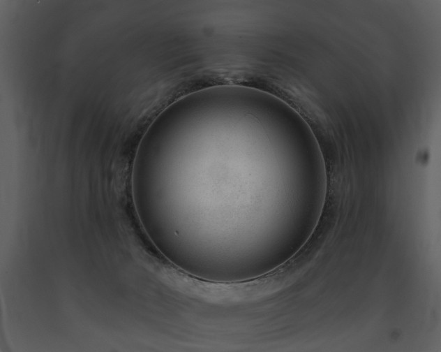 X0000091700030200708241233