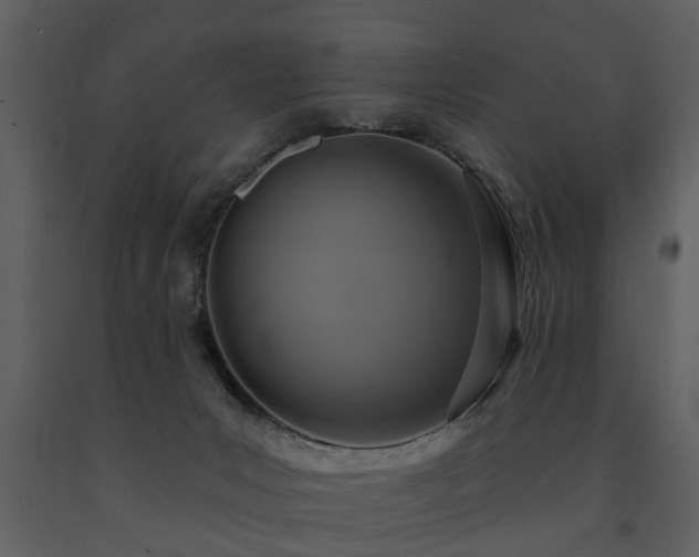 X0000091700031200708241233