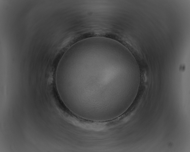 X0000091700032200708241233