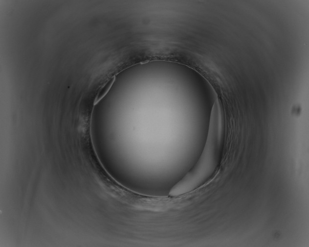 X0000091700033200708241233