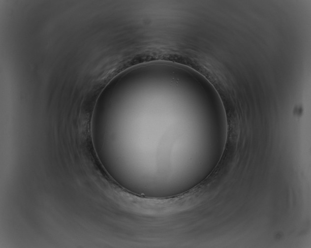 X0000091700034200708241233