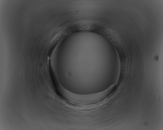 X0000091700035200708241233