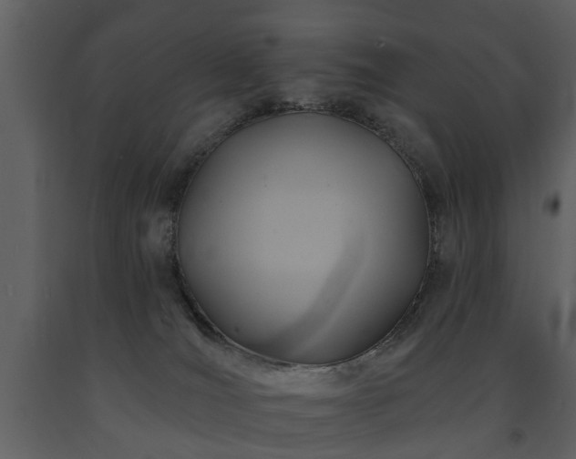 X0000091700036200708241233