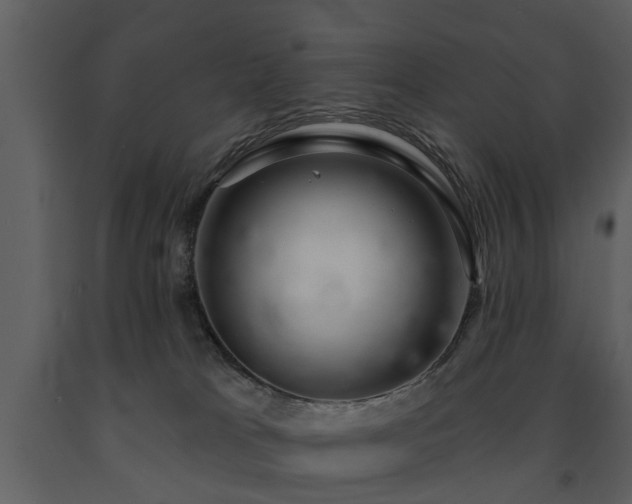 X0000091700037200708241233