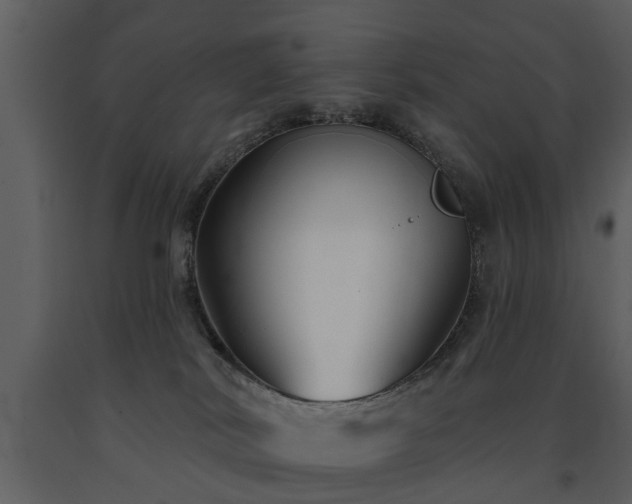 X0000091700038200708241233