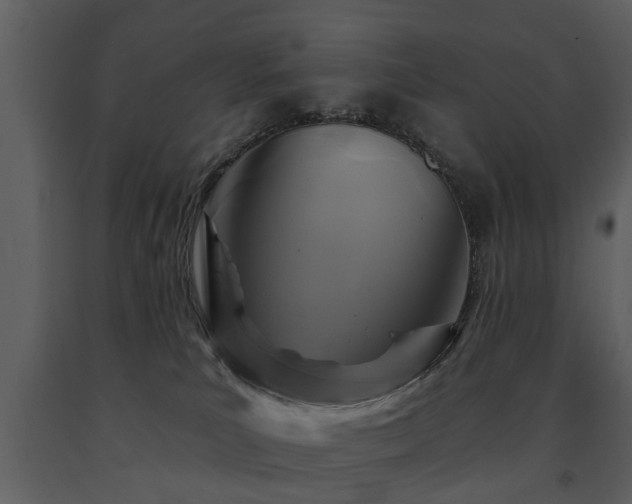 X0000091700039200708241233