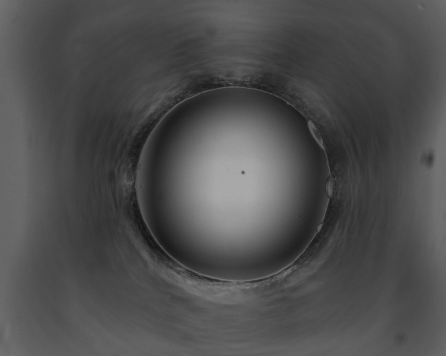 X0000091700040200708241233