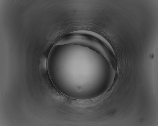 X0000091700041200708241233