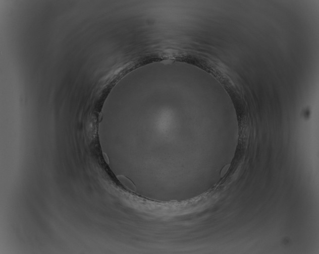 X0000091700043200708241233