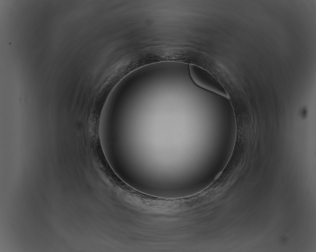 X0000091700044200708241233