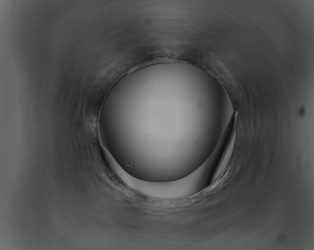 X0000091700045200708241233