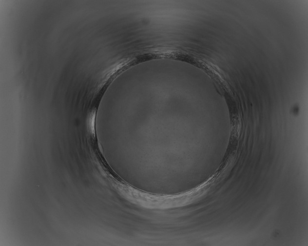 X0000091700047200708241233