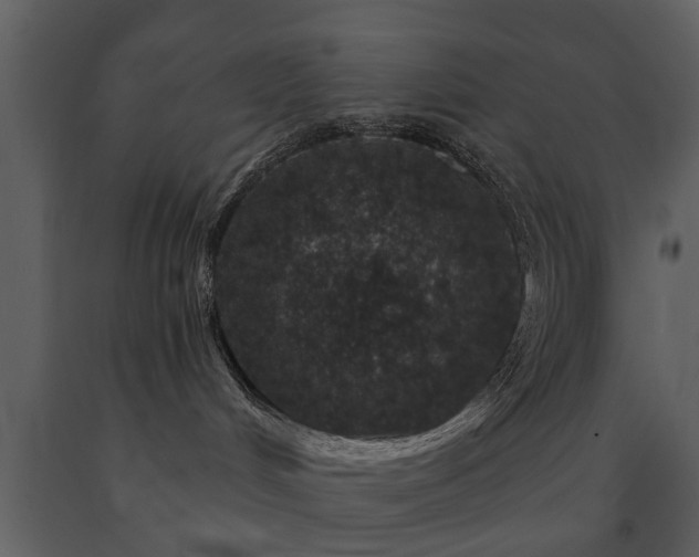 X0000091700048200708241233