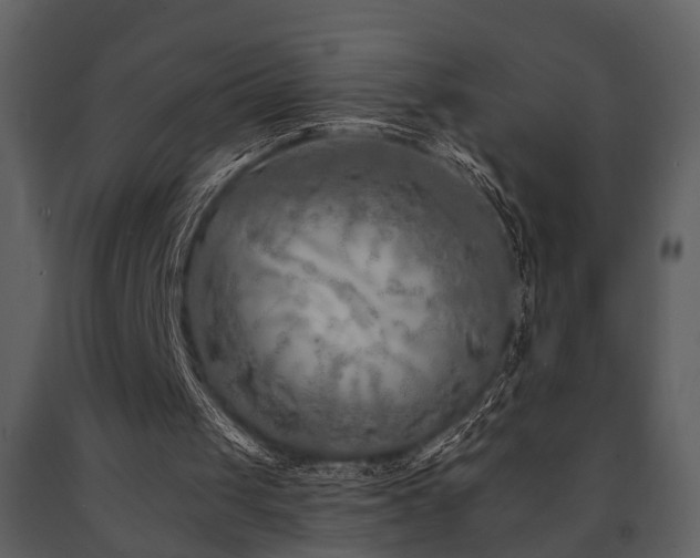 X0000091700049200708241232
