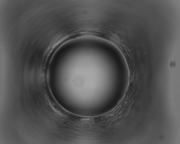 X0000091700050200708241232
