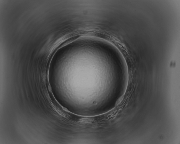 X0000091700051200708241232
