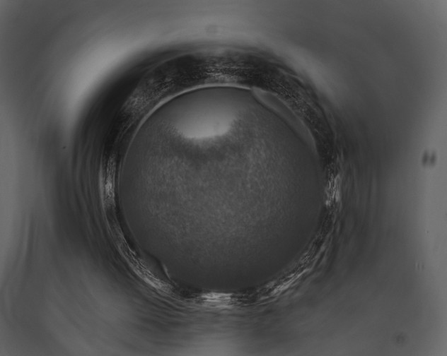 X0000091700052200708241232