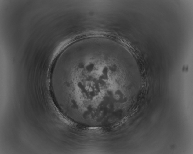 X0000091700053200708241232