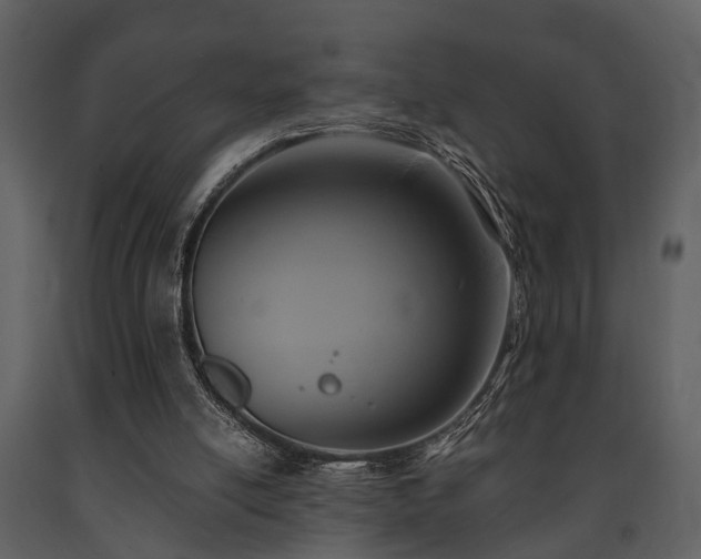 X0000091700054200708241232