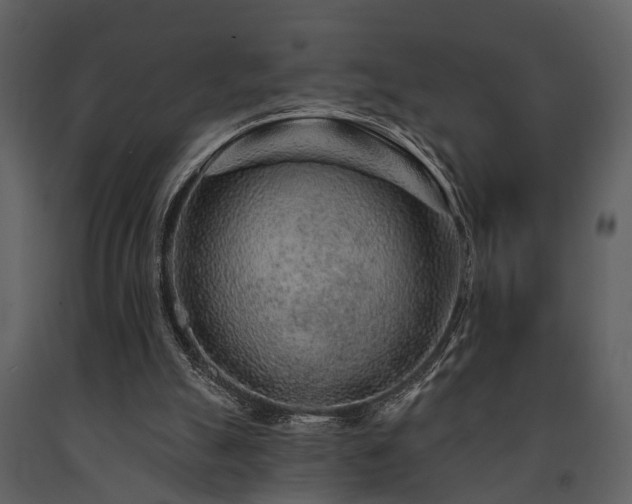 X0000091700055200708241232