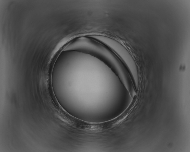X0000091700056200708241232
