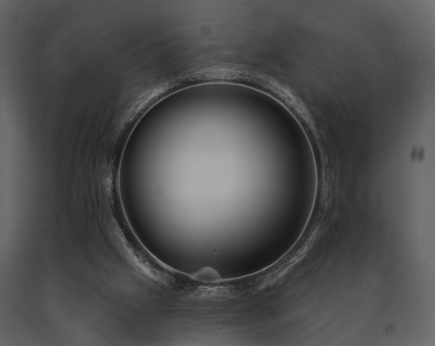 X0000091700057200708241232