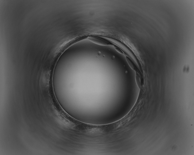 X0000091700058200708241232