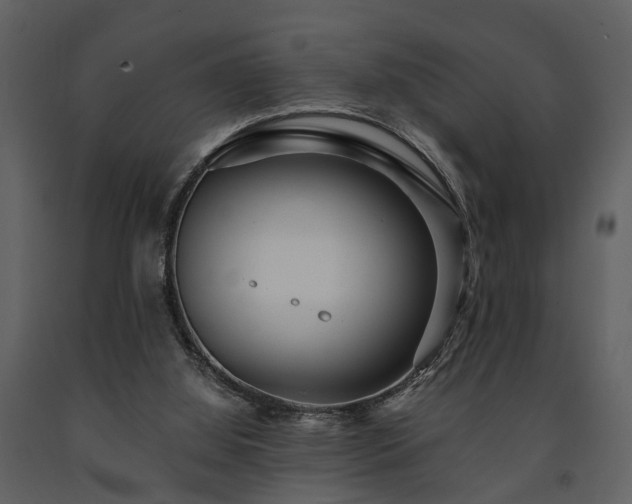 X0000091700060200708241232