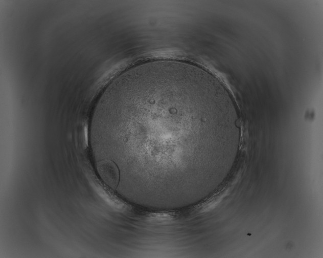 X0000091700061200708241232