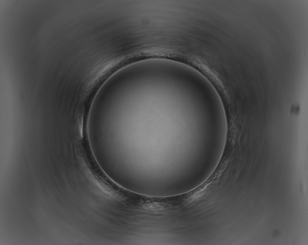 X0000091700062200708241232